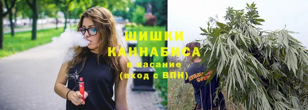 тгк Володарск