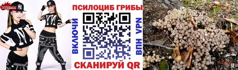 Галлюциногенные грибы MAGIC MUSHROOMS  маркетплейс формула  Кандалакша 